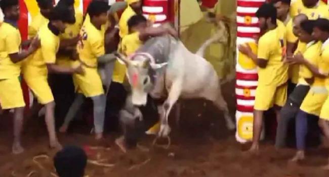 அலங்காநல்லூர் ஜல்லிக்கட்டு ஆரம்பம்